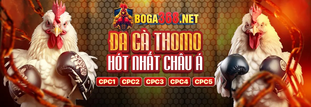 Sân đấu đá gà trực tuyến kịch tính tại sanclub win